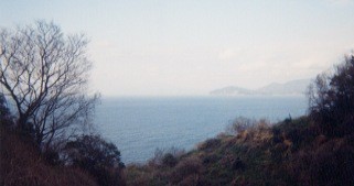 �R�̏ォ�猩�����{�C